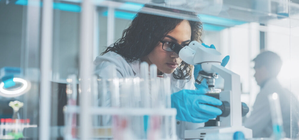 Conheça nossos serviços